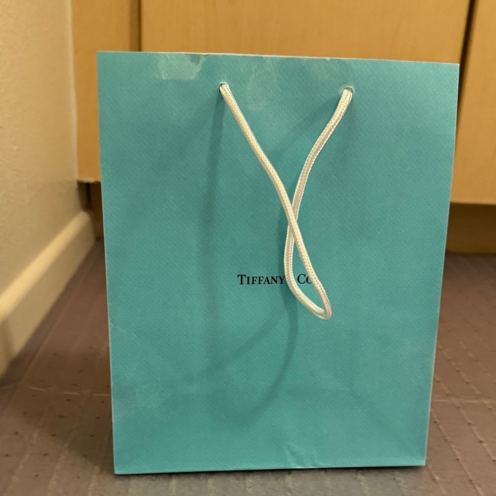Tiffany & Co. Turquoise paper bag- medium